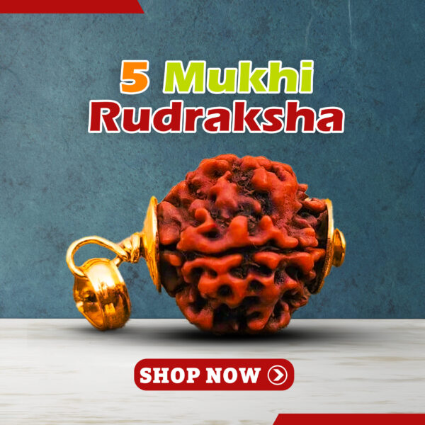 5 Mukhi Rudraksha